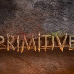 Primitives